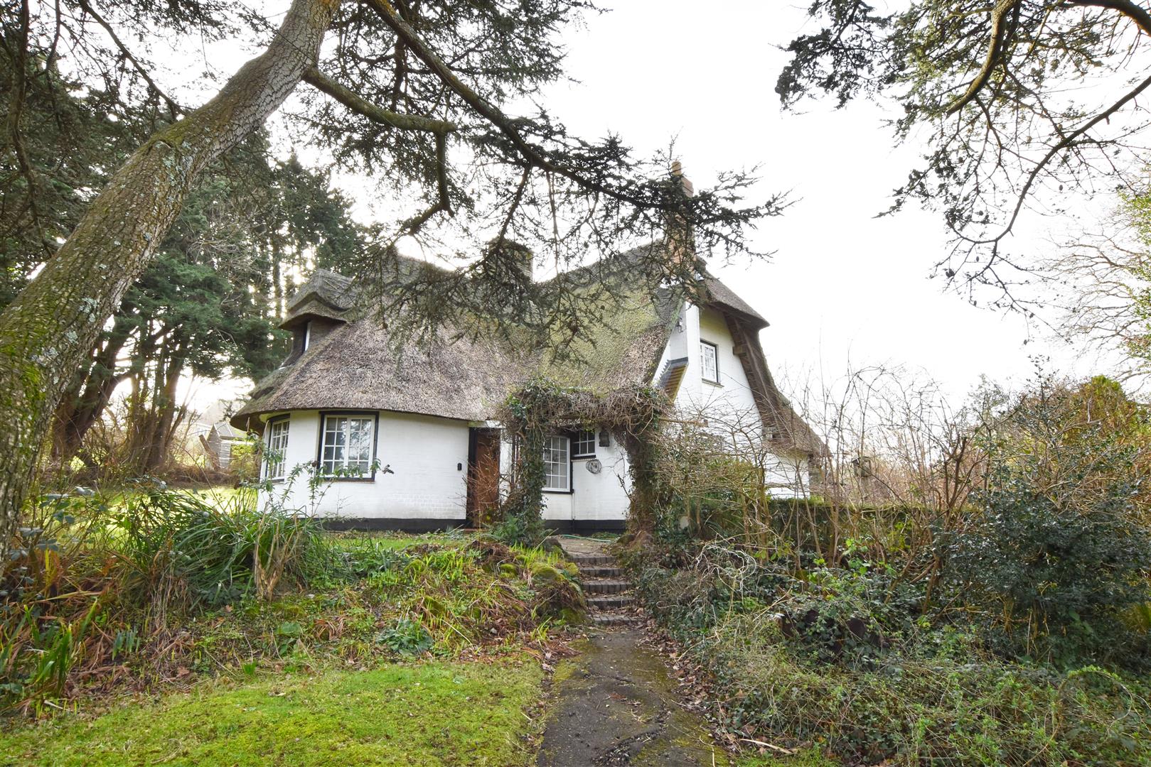 Cliff End Lane, Pett Level Rush, Witt & Wilson